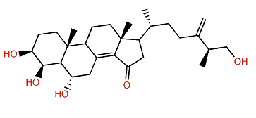 Certonardosterol Q5